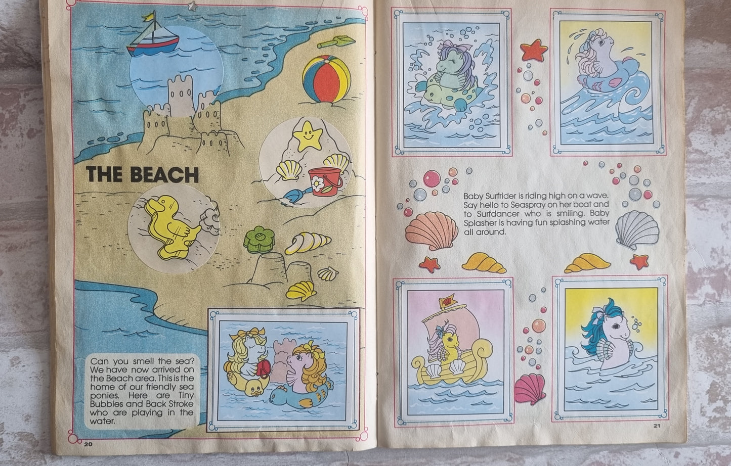 Panini Sticker Album - Complete