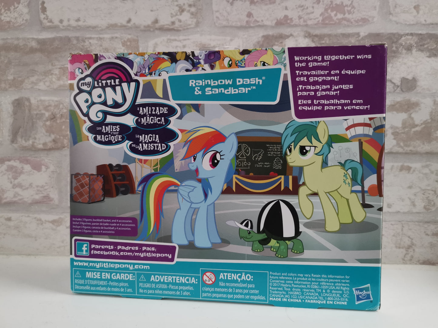 Rainbow Dash and Sandbar