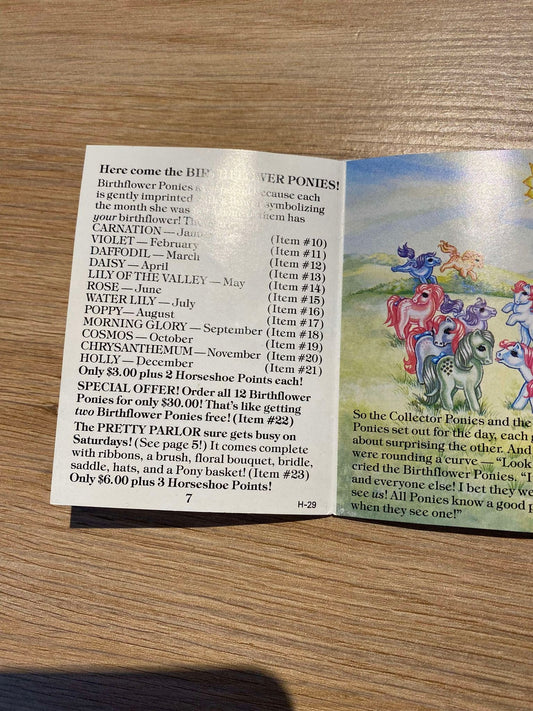 Birthflower Pony Pamphlet